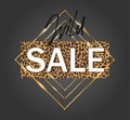 `Wild Sale` banner template design on leopard pattern background with gold frames